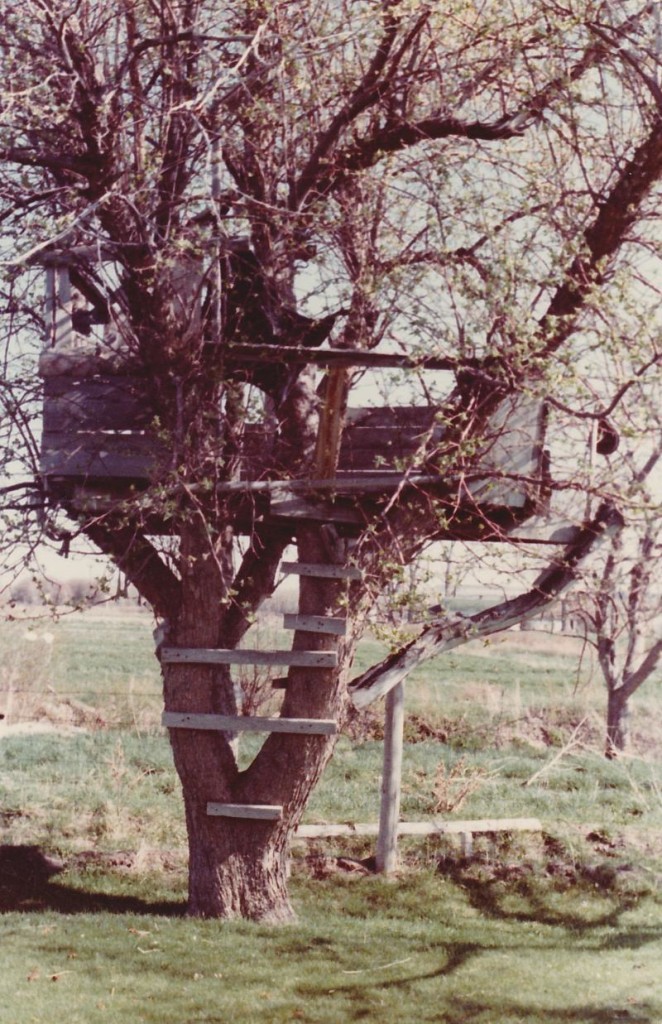 Tree House