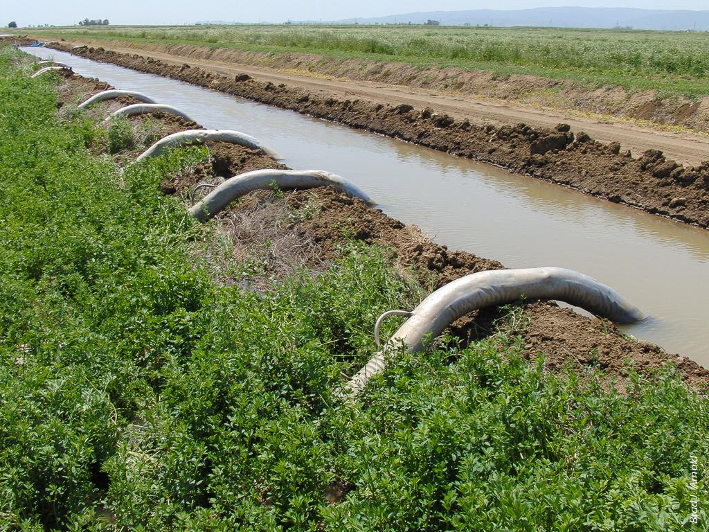 These are the type of siphon tubes we used to irrigate some the fields on our farm. 
